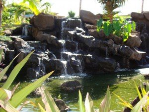 Hoolei Wailea Maui Condos