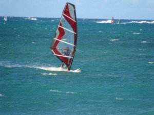 Steve Windsurfing