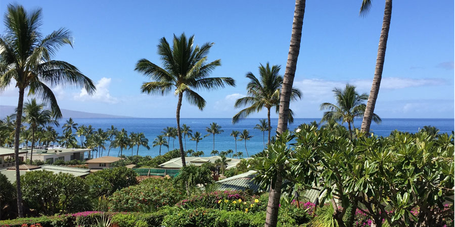 Wailea Maui Resort
